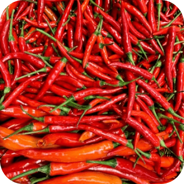 Ớt tươi / ớt khô